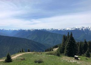 Hurricane Ridge Olympic National Forest