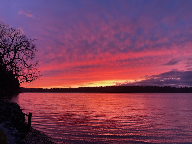 New Agent Spotlight Ben Hoover Windermere Bainbridge Island