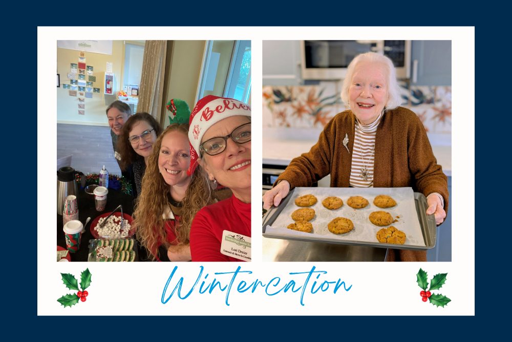 wintercation-bainbridge-island